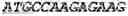 Fig. 61 - Fusion proteins comprising an anti-CD40 antibody and HIV antigenic peptides