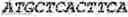 Fig. 62 - Fusion proteins comprising an anti-CD40 antibody and HIV antigenic peptides