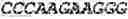 Fig. 64 - Fusion proteins comprising an anti-CD40 antibody and HIV antigenic peptides