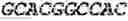 Fig. 65 - Fusion proteins comprising an anti-CD40 antibody and HIV antigenic peptides