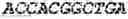 Fig. 67 - Fusion proteins comprising an anti-CD40 antibody and HIV antigenic peptides