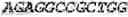 Fig. 68 - Fusion proteins comprising an anti-CD40 antibody and HIV antigenic peptides