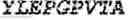 Fig. 94 - Fusion proteins comprising an anti-CD40 antibody and HIV antigenic peptides