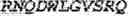 Fig. 97 - Fusion proteins comprising an anti-CD40 antibody and HIV antigenic peptides