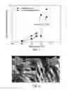 Fig. 02 - Propylene-based impact copolymers