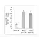 Fig. 06 - Method for producing pluripotent stem cells