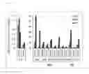 Fig. 41 - Method for producing pluripotent stem cells