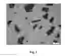 Fig. 02 - Component comprising hard metal composition including fused tungsten carbide