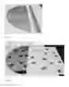 Fig. 03 - SYSTEMS AND METHODS FOR METAL LAYER ADHESION