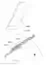 Fig. 83 - Water control apparatus