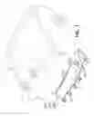 Fig. 02 - Lip for excavating bucket