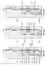 Fig. 09 - Undersea hydraulic coupling with multiple pressure-energized metal seals