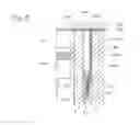 Fig. 09 - WATER JACKET SPACER