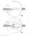 Fig. 02 - Damping device