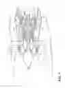 Fig. 02 - Exhaust gas temperature sensing probe assembly