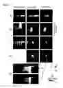 Fig. 08 - Electric field imaging method