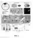 Fig. 02 - COMPOSITIONS AND METHODS FOR PROGNOSIS AND TREATMENT OF NEOPLASM
