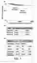 Fig. 04 - COMPOSITIONS AND METHODS FOR PROGNOSIS AND TREATMENT OF NEOPLASM