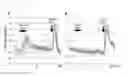 Fig. 22 - Method of using transmembrane channel-like protein 6 (TMC6) protein to identify substances affecting salty taste
