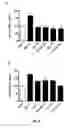 Fig. 06 - Screening method, a kit, a method of treatment and a compound for use in a method of treatement