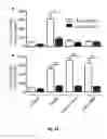 Fig. 12 - Screening method, a kit, a method of treatment and a compound for use in a method of treatement