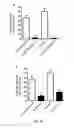 Fig. 16 - Screening method, a kit, a method of treatment and a compound for use in a method of treatement