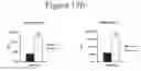 Fig. 131 - Activation of bioluminescence by structural complementation