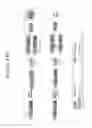 Fig. 147 - Activation of bioluminescence by structural complementation