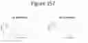Fig. 158 - Activation of bioluminescence by structural complementation