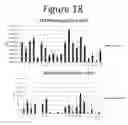 Fig. 19 - Activation of bioluminescence by structural complementation