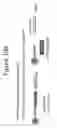 Fig. 196 - Activation of bioluminescence by structural complementation