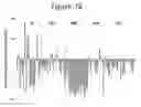 Fig. 79 - Activation of bioluminescence by structural complementation