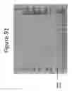 Fig. 92 - Activation of bioluminescence by structural complementation