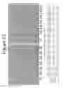 Fig. 93 - Activation of bioluminescence by structural complementation