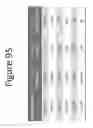 Fig. 96 - Activation of bioluminescence by structural complementation
