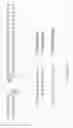 Fig. 28 - Linked Peptide Fluorogenic Biosensors