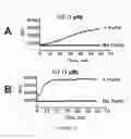 Fig. 32 - Linked Peptide Fluorogenic Biosensors