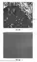 Fig. 05 - THERMOCHEMICAL-BASED ANTIBODY INACTIVATION METHODS AND SYSTEMS