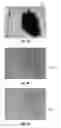 Fig. 06 - THERMOCHEMICAL-BASED ANTIBODY INACTIVATION METHODS AND SYSTEMS