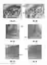 Fig. 07 - THERMOCHEMICAL-BASED ANTIBODY INACTIVATION METHODS AND SYSTEMS