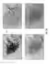 Fig. 08 - THERMOCHEMICAL-BASED ANTIBODY INACTIVATION METHODS AND SYSTEMS