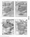 Fig. 13 - THERMOCHEMICAL-BASED ANTIBODY INACTIVATION METHODS AND SYSTEMS