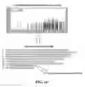 Fig. 10 - Top Down Protein Identification Method
