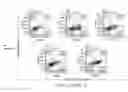 Fig. 16 - Complexes comprising transmembrane receptors and antibodies that bind the receptors in a conformationally selective manner