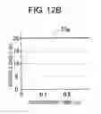 Fig. 14 - Measurement device and measurement method