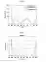 Fig. 06 - ANTIREFLECTION FILM, OPTICAL ELEMENT, AND OPTICAL SYSTEM
