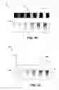 Fig. 06 - Fabricating non-uniform diffraction gratings