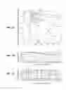 Fig. 08 - Multi-band color vision filters and method by LP-optimization