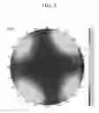 Fig. 06 - Polarizer and display device including the same