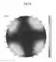 Fig. 07 - Polarizer and display device including the same